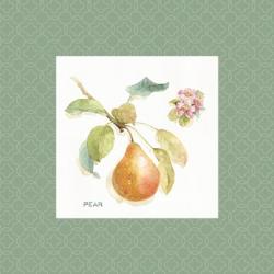 Orchard Bloom II Border | Obraz na stenu