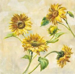 Farm Nostalgia Sunflowers | Obraz na stenu