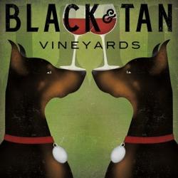 Black and Tan Vineyards | Obraz na stenu