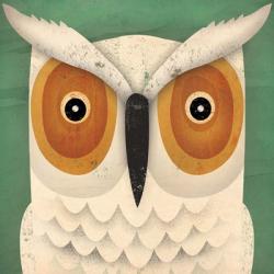 White Owl | Obraz na stenu