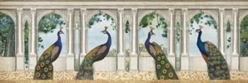 Elegant Peacock I | Obraz na stenu