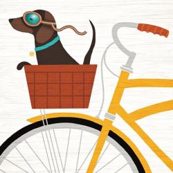 Beach Bums Dachshund Bicycle I | Obraz na stenu