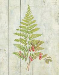 Natural Floral XIII | Obraz na stenu