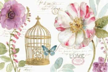 Rainbow Seeds Floral Birdcage I | Obraz na stenu