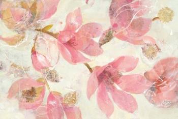 Magnolias in Bloom on White | Obraz na stenu