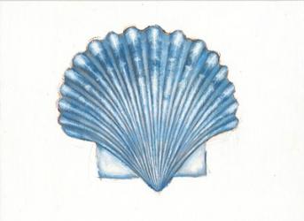 Navy Scallop Shell | Obraz na stenu