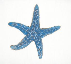 Navy Starfish | Obraz na stenu
