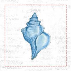 Navy Conch Shell on Newsprint with Red | Obraz na stenu