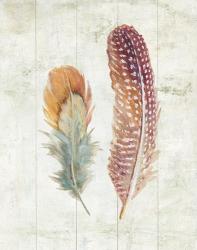 Natural Flora XI Bold Feathers | Obraz na stenu