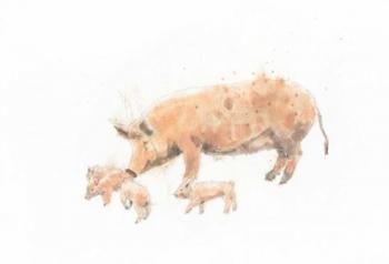 Pig and Piglet | Obraz na stenu