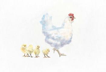 Hen and Chickens | Obraz na stenu