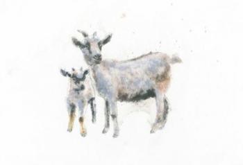 Goat and Kid | Obraz na stenu