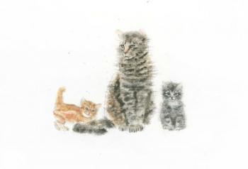 Cat and Kittens | Obraz na stenu