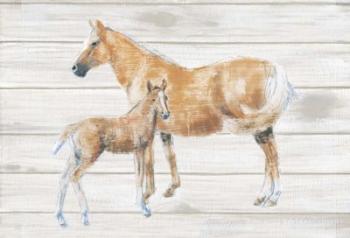 Horse and Colt on Wood | Obraz na stenu