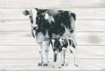 Cow and Calf on Wood | Obraz na stenu