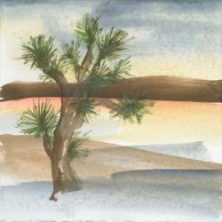 Desert Joshua Tree | Obraz na stenu