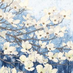 Dogwood Blossoms II Indigo | Obraz na stenu