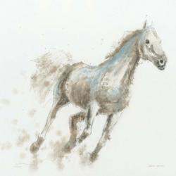 Stallion I | Obraz na stenu
