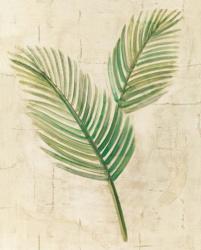 Sago Palm Leaves Neutral Crop | Obraz na stenu