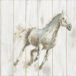 Stallion I on Birch | Obraz na stenu