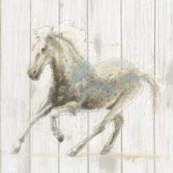 Stallion II on Birch | Obraz na stenu