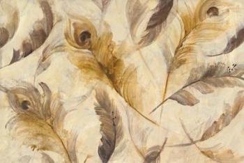 Feather Toss | Obraz na stenu