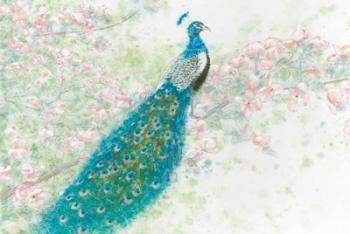 Spring Peacock I Pink Flowers | Obraz na stenu
