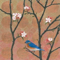 Cherry Blossoms I | Obraz na stenu