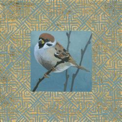 The Sparrow | Obraz na stenu