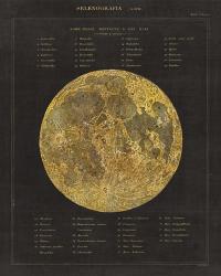 Astronomical Chart I | Obraz na stenu