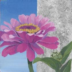 Zinnia Pink and Silver | Obraz na stenu