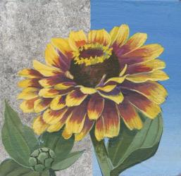 Zinnia Spice and Silver | Obraz na stenu