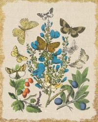 Butterfly Bouquet II Linen | Obraz na stenu