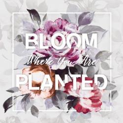 Bloom Where You Are Planted | Obraz na stenu