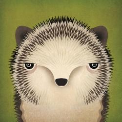 Baby Hedgehog | Obraz na stenu