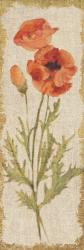 Poppy Panel on White Vintage | Obraz na stenu