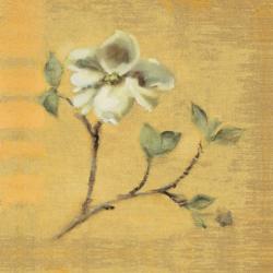 Dogwood Blossom on Gold | Obraz na stenu