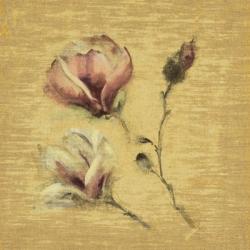 Magnolia Blossom on Gold | Obraz na stenu