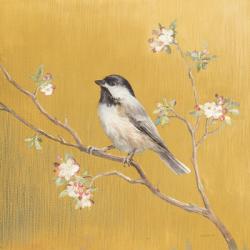 Black Capped Chickadee on Gold | Obraz na stenu