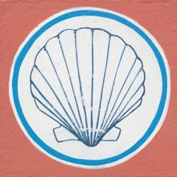 Summer Shells II | Obraz na stenu