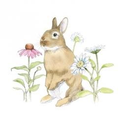 Wildflower Bunnies IV | Obraz na stenu