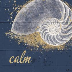 Calm Seas IX | Obraz na stenu