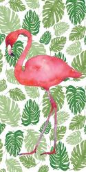 Tropical Flamingo II | Obraz na stenu