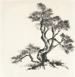 Sumi Tree I | Obraz na stenu