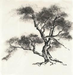 Sumi Tree II | Obraz na stenu
