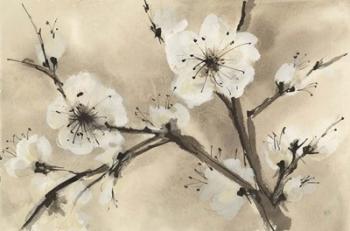 Spring Blossoms III | Obraz na stenu