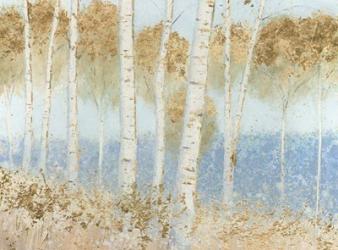 Summer Birches | Obraz na stenu