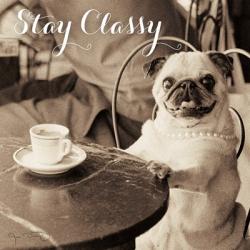 Cafe Pug Stay Classy | Obraz na stenu