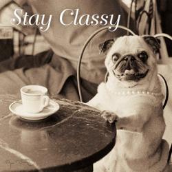 Cafe Pug Stay Classy V2 | Obraz na stenu
