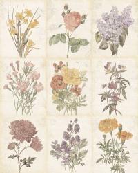 Flowers of the Month 9 Patch Vintage | Obraz na stenu